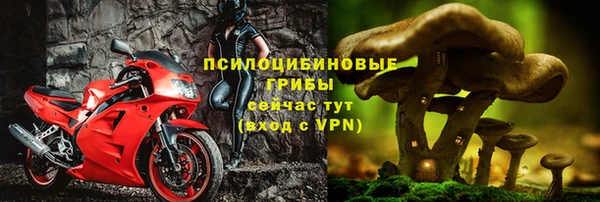прущая мука Вязники
