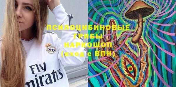 стаф Нея
