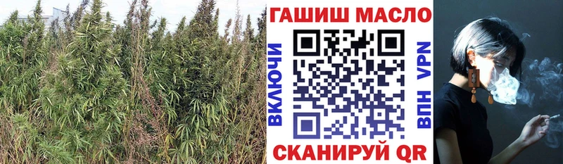 ТГК THC oil  мега ССЫЛКА  Приморск 