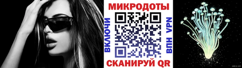Псилоцибиновые грибы мицелий как найти закладки кракен сайт Приморск